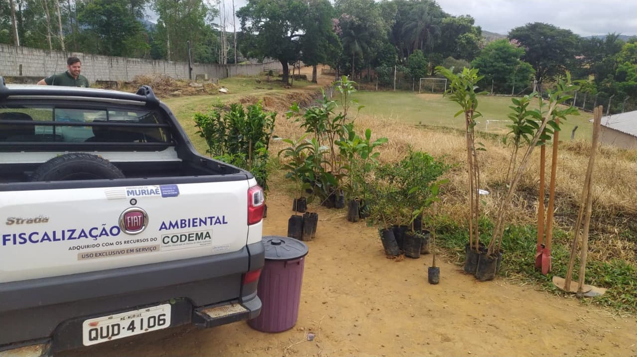 Prefeitura cria ‘Pomar Popular’ no bairro Gaspar