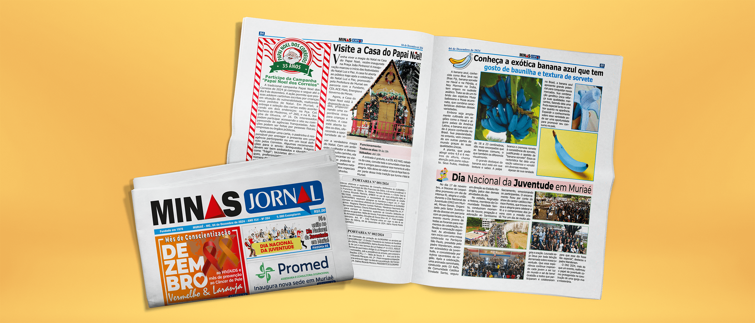 š° Edição 204 do Minas Jornal! š°