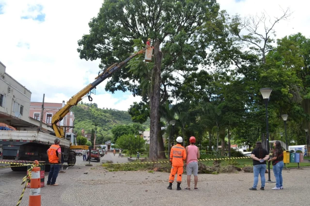 Prefeitura de Leopoldina realiza poda de segurança em árvores na Praça Félix Martins