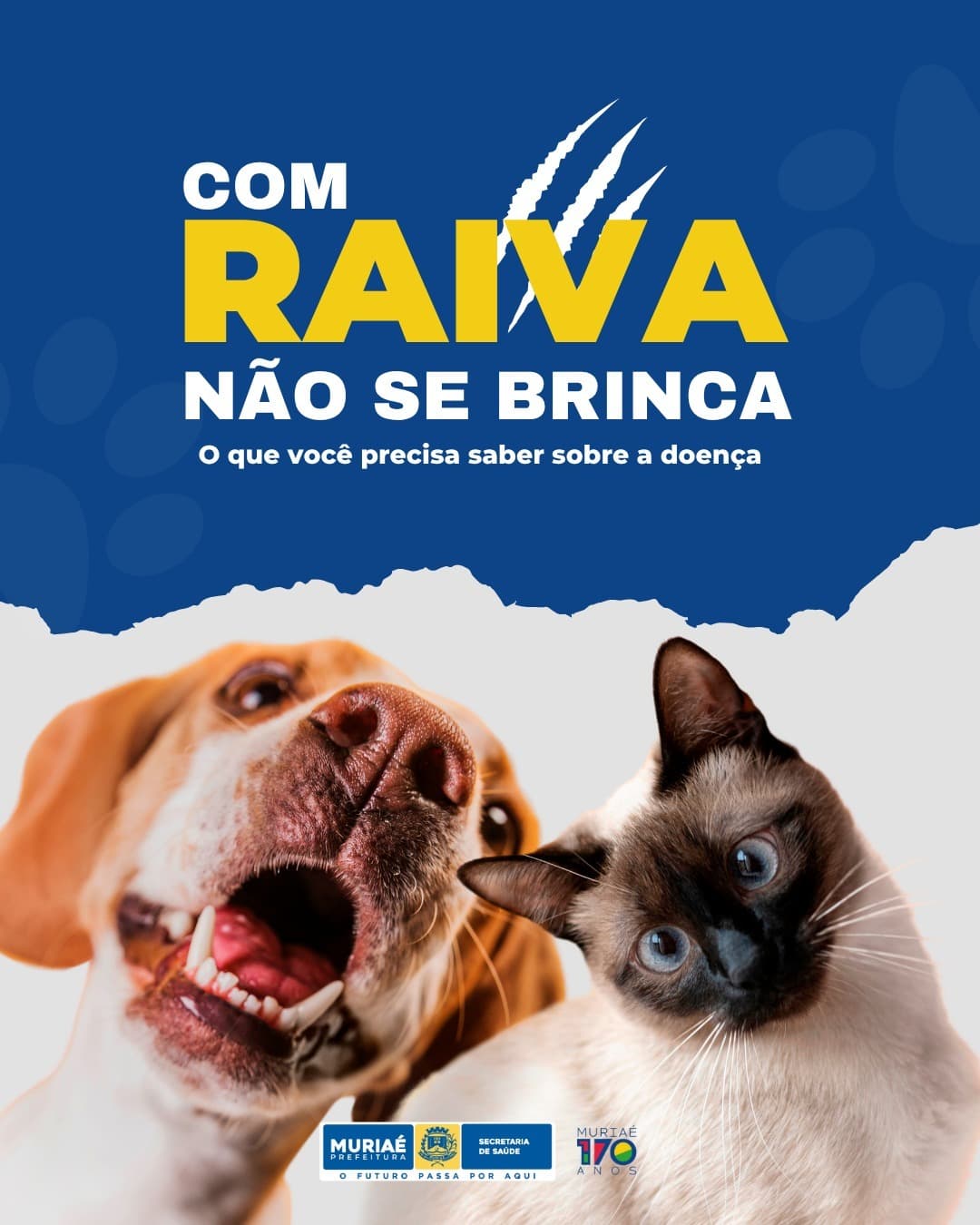 Prefeitura inicia campanha de Vacinação Antirrábica 2025