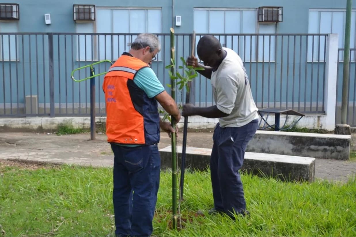 Praça do Bela Vista ganha novas mudas de árvores