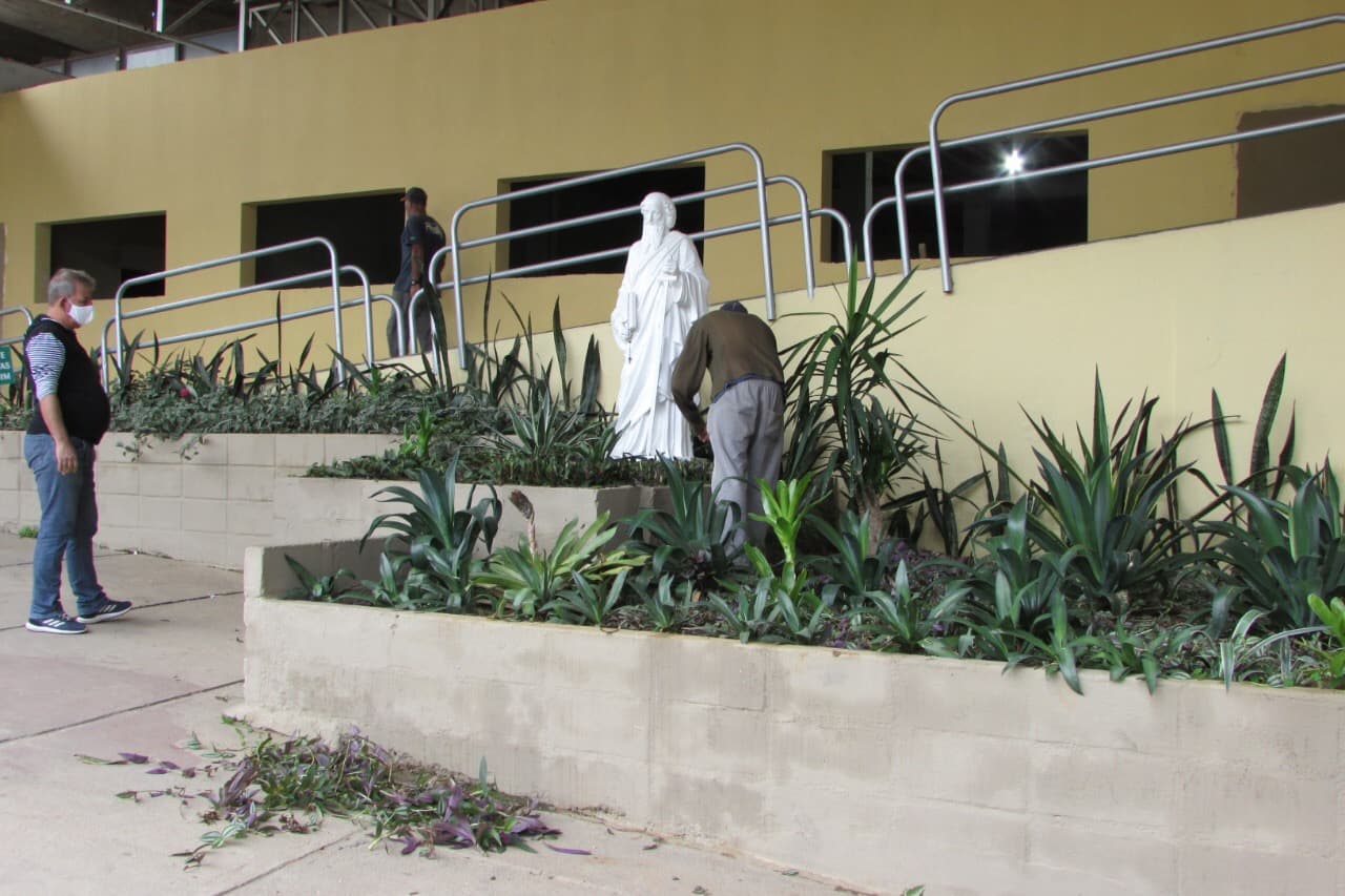 Canteiros no entorno da Prefeitura são renovados
