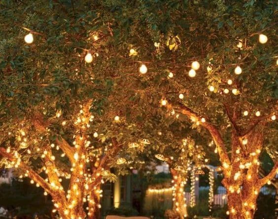 Muriaé terá ‘Natal Iluminado’ nas praças
