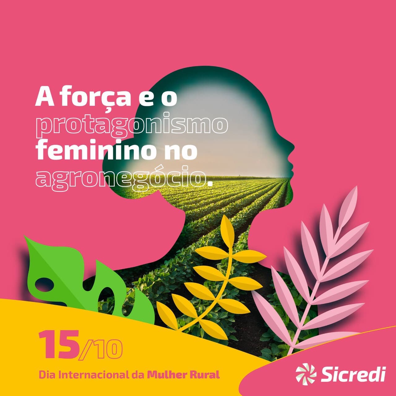 DIA INTERNACIONAL DA MULHER RURAL